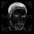 Greg Gibson's profile image