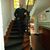 Enrique Benitez-Negron's profile image