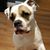 Brian Sforza's profile image