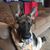 Jackie Goodman Smith's profile image
