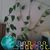 Arnetta Turner's profile image