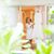 Michelle M Olshansky's profile image