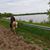 Julie Childs's profile image