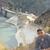 Luis Veliz's profile image