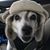 LaurieAnn Kennavane's profile image