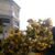 Mukti Wibowo Landscape's profile image