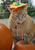 Liz Z.'s profile image
