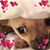Debby Nardulli's profile image