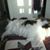 Janet Lacey's profile image