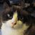 Nora Backlas's profile image