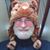 David Webb's profile image
