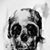 Chris Sine's profile image