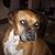 Jo Bolzle's profile image