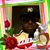 Diamond Shell Bexx James's profile image