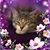 Eileen Marie's profile image