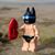 Rudy Llanes's profile image