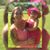 Kristina Lee's profile image