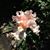 Donna Walker's profile image