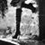 Shannon Heather's profile image