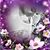 Bianca Graves's profile image