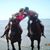 Terry la Rosa's profile image