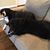 Denise Roy Zoch's profile image