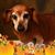 Brenda Beatty's profile image