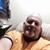 Mike Lecocq's profile image