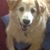 Dolores B. Thompson's profile image