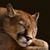 Twila Hoover Slomka's profile image