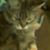 Linda Pipher's profile image