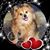 Diana Siclare's profile image