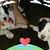 Margaret Symons's profile image