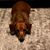 MIchele Johnson's profile image