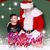 Daisy Abrantes Augusto's profile image