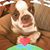 Kyle R Hart's profile image