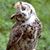 Janet L Houser's profile image