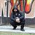 Zaddy Fiction's profile image
