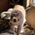 Marsha Morgan Marlowe's profile image