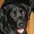 Jill Lind Martin's profile image