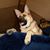 Kim Tigue Redshaw's profile image