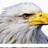 Majestic's profile image