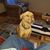 David Glimsdale's profile image
