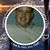 Heather Wilkes Turner's profile image