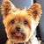 Naila Williams's profile image