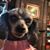 Pamela Joyce's profile image