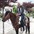 Mihalis Bezhanis's profile image