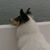 Marci Tressel's profile image