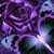Patricia Ouellette's profile image