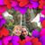 Hector Sanchez's profile image